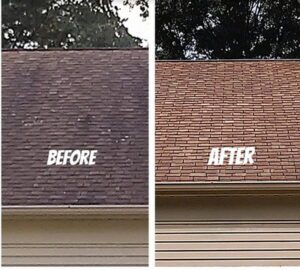 Before and After photo after Aqua Clean Solutions power washed it