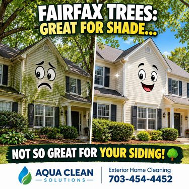 Comparison of a house in Fairfax VA showing Tress Over a House